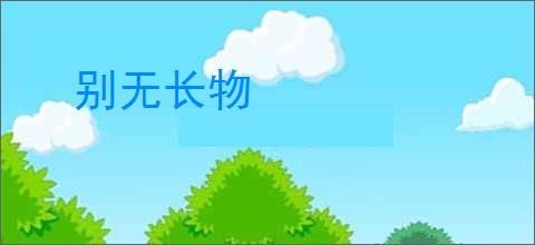 别无长物